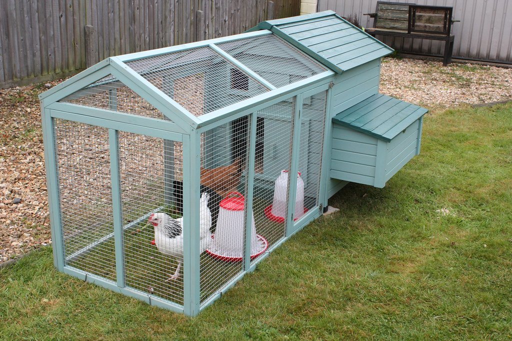 Chicken Coop