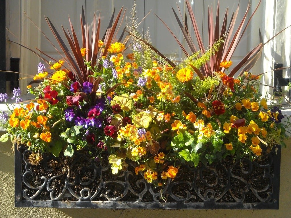 Fall Planter Ideas