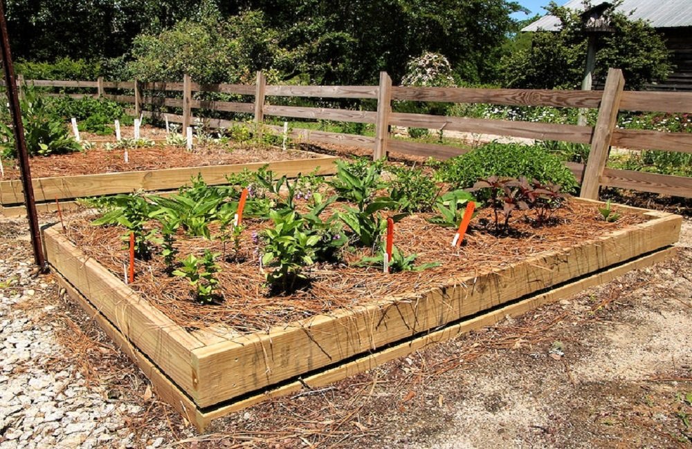 Raised Garden Bed Ideas